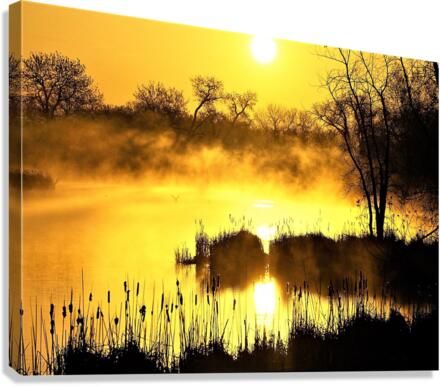 2721 Canvas Print
