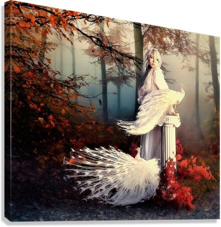 2728 Canvas Print