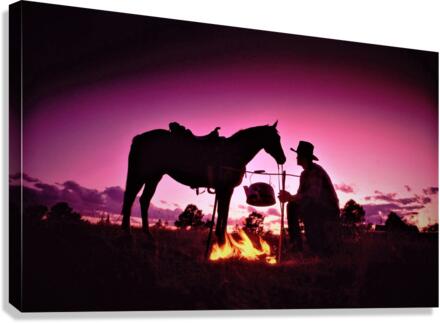 2737 Canvas Print