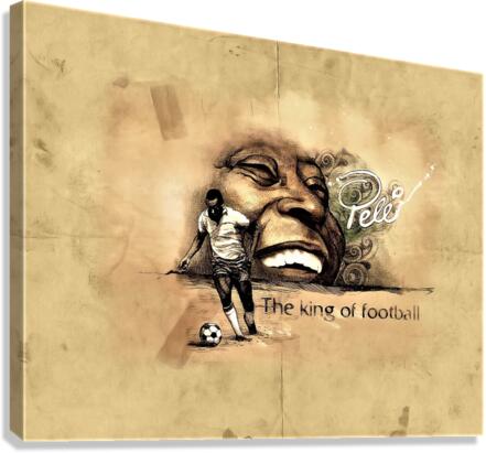 2738 Canvas Print