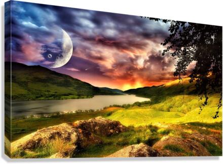 2754 Canvas Print