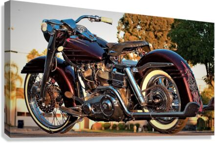 2755 Canvas Print
