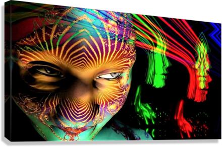 2758 Canvas Print