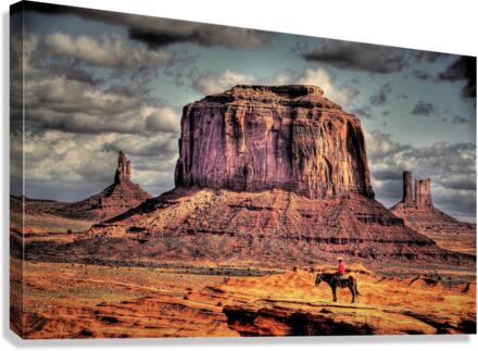 2762 Canvas Print
