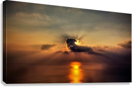 2765 Canvas Print