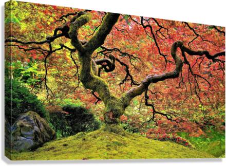 2769 Canvas Print