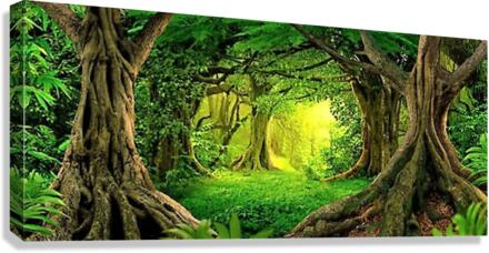 2773 Canvas Print