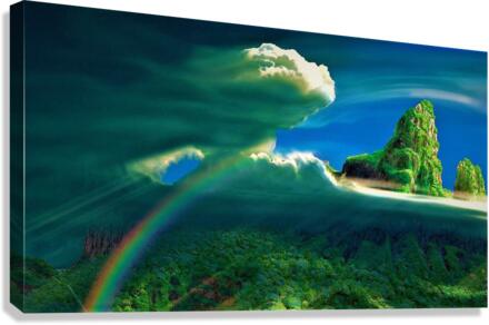 2776 Canvas Print