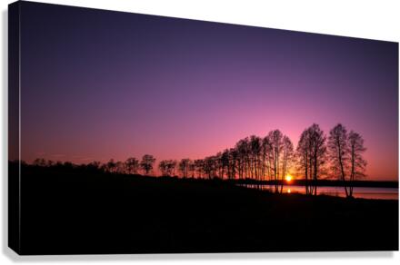 2804 Canvas Print