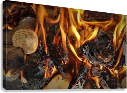 2806 Canvas Print