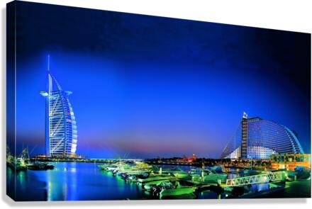 2823 Canvas Print