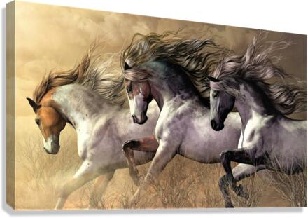 2824 Canvas Print
