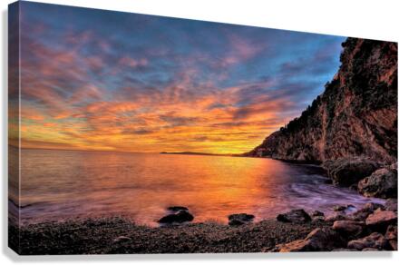 2825 Canvas Print
