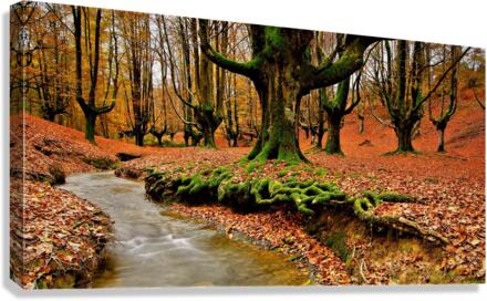 2831 Canvas Print