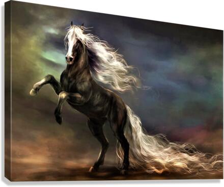 2840 Canvas Print