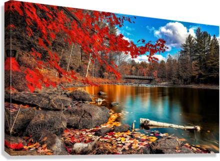 2846 Canvas Print