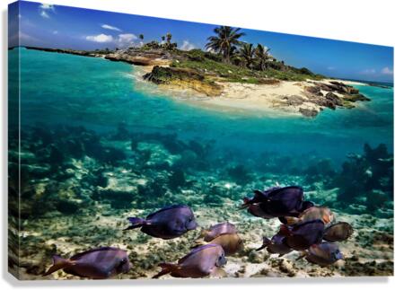2849 Canvas Print