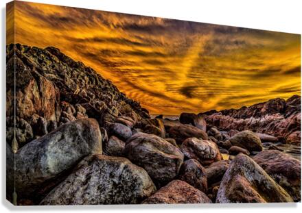 2861 Canvas Print