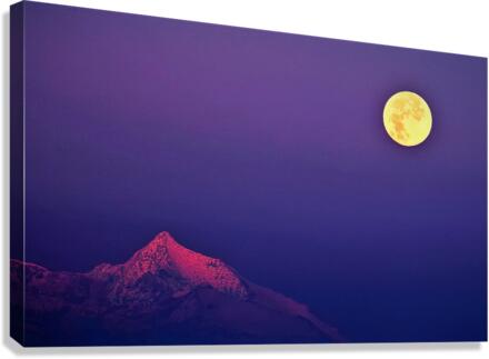 2869 Canvas Print
