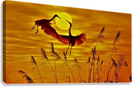 2873 Canvas Print