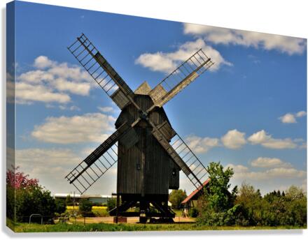 2874 Canvas Print