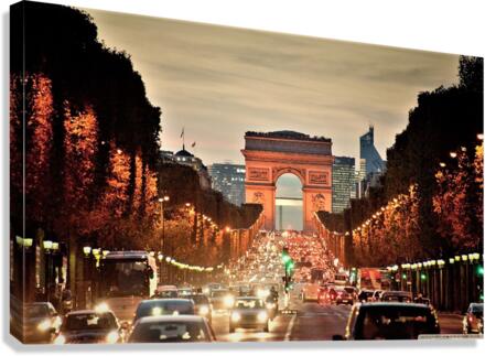 2881 Canvas Print