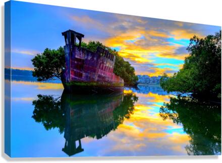 2883 Canvas Print