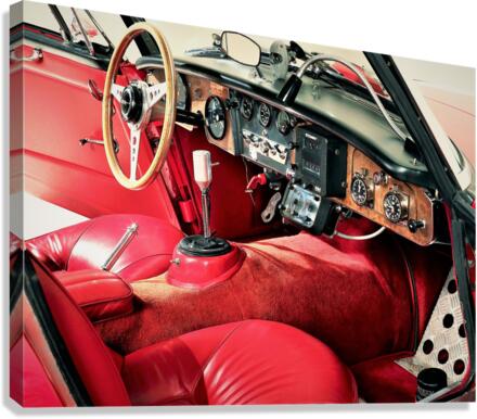 2891 Canvas Print