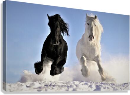 2892 Canvas Print