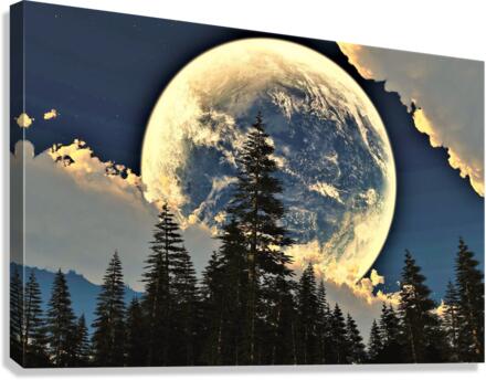2894 Canvas Print