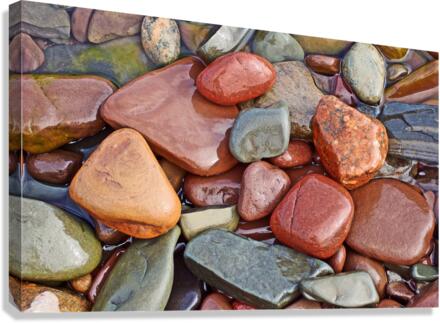 2900 Canvas Print