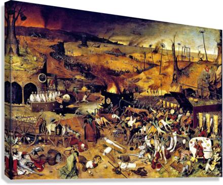 2902 Canvas Print