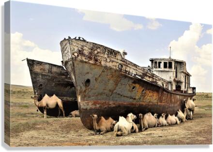 2908 Canvas Print