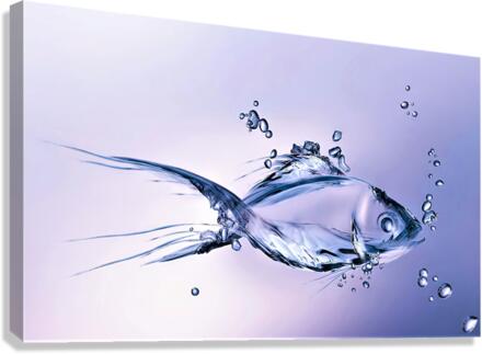 2919 Canvas Print