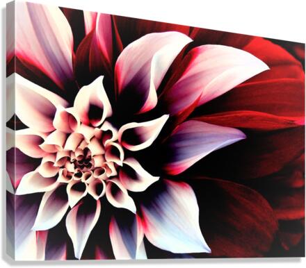 2920 Canvas Print