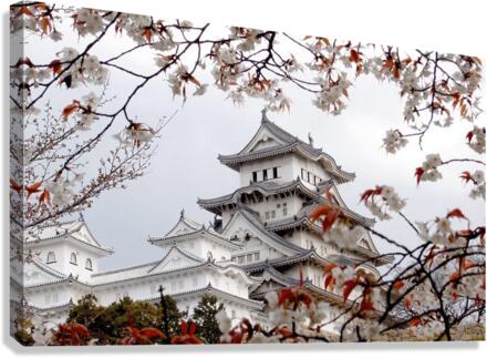 2991 Canvas Print