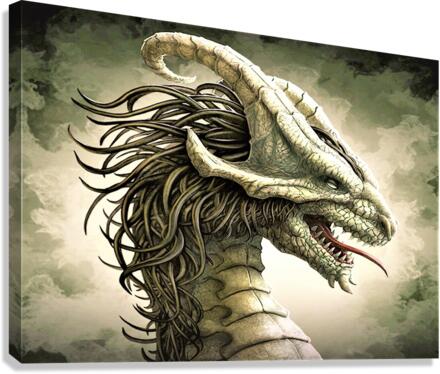 3010 Canvas Print