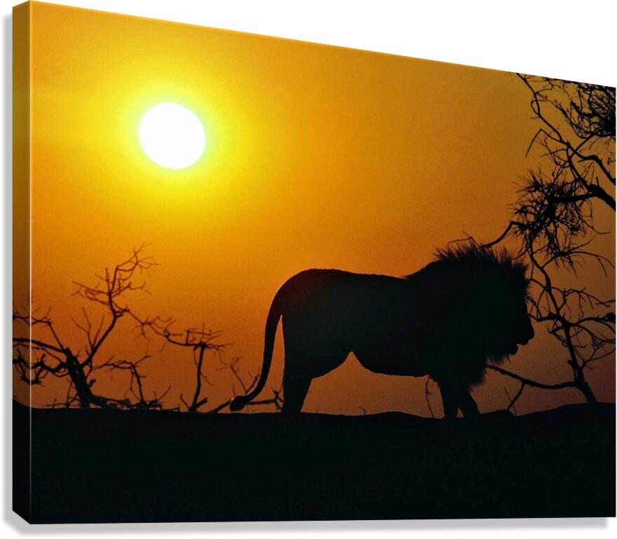3013 Canvas Print