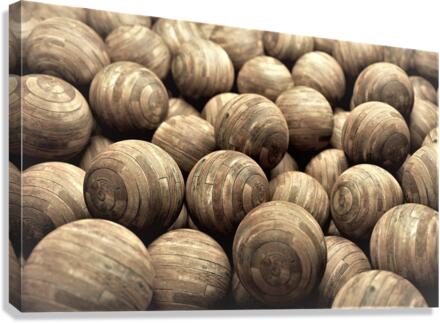 3014 Canvas Print