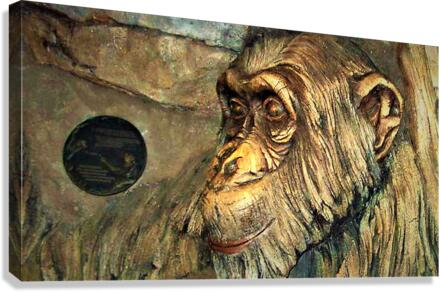 3023 Canvas Print