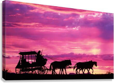 3028 Canvas Print