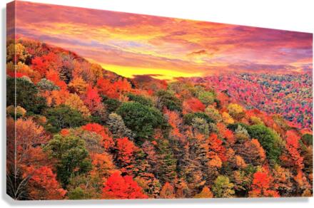 3034 Canvas Print