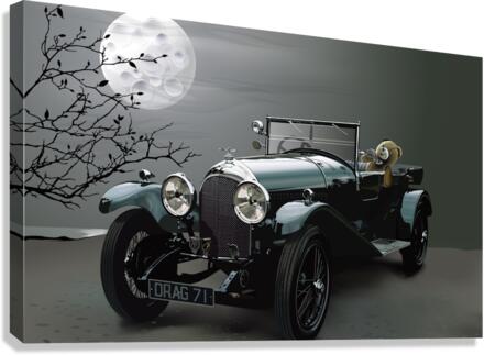 3043 Canvas Print