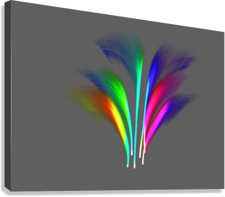 3053 Canvas Print
