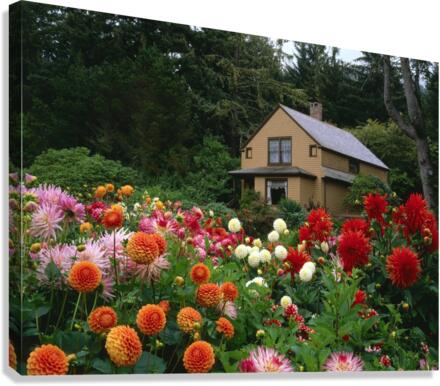 3054 Canvas Print