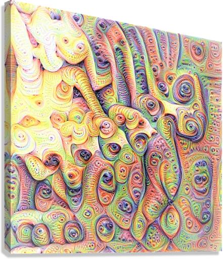 3060 Canvas Print