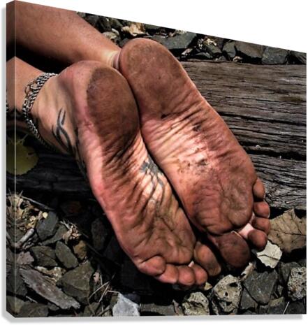 3065 Canvas Print