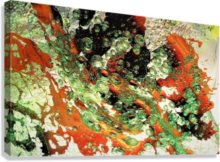 3067 Canvas Print