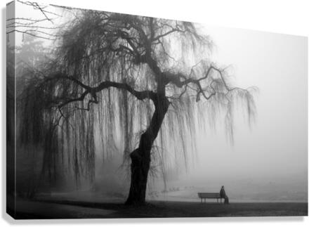 3077 Canvas Print