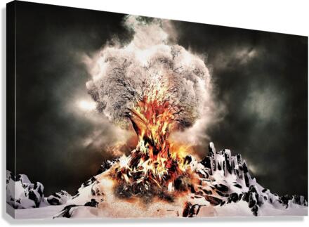3078 Canvas Print